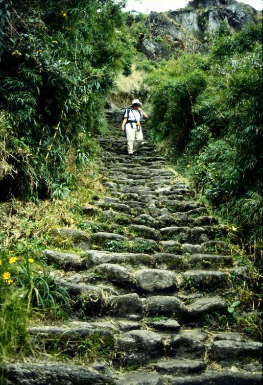 Inka Trail short