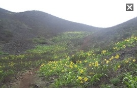 Camino por las lomas...