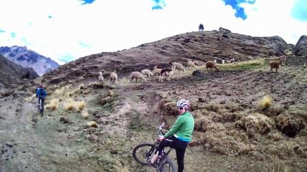 Lares downhill www.perucycling.com