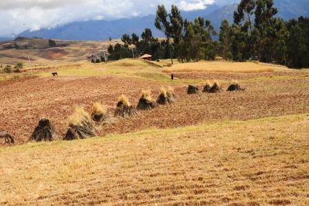 Sacred Valley Bike Tour www.perucycling.com